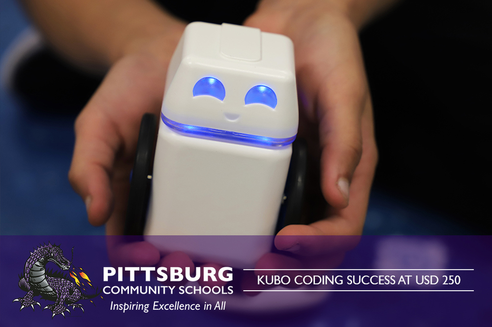 Kubo Coding Success at USD 250