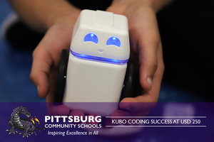 Kubo Coding Success at USD 250