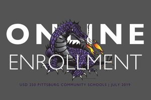 USD 250 Online Enrollment