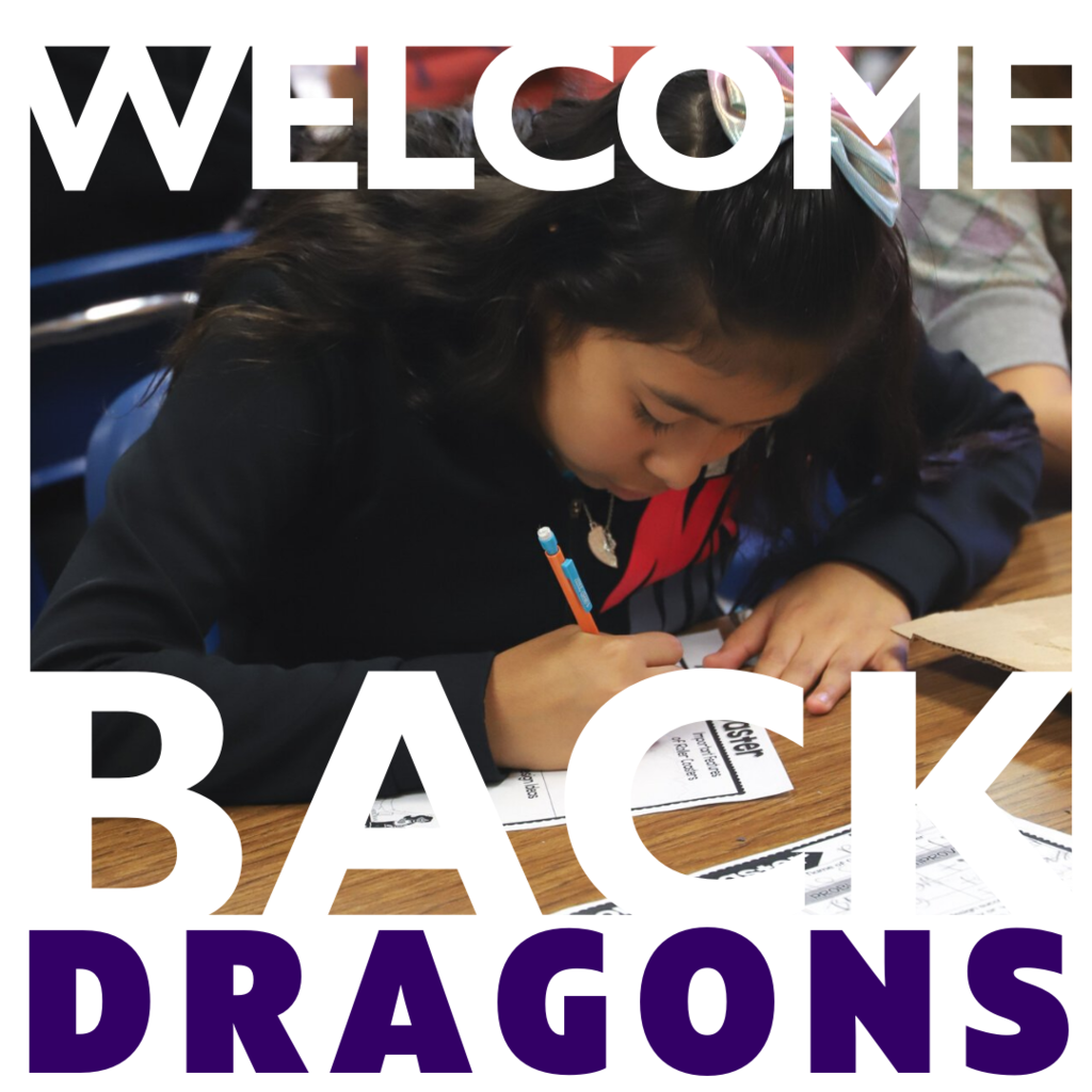 Welcome Back Dragons